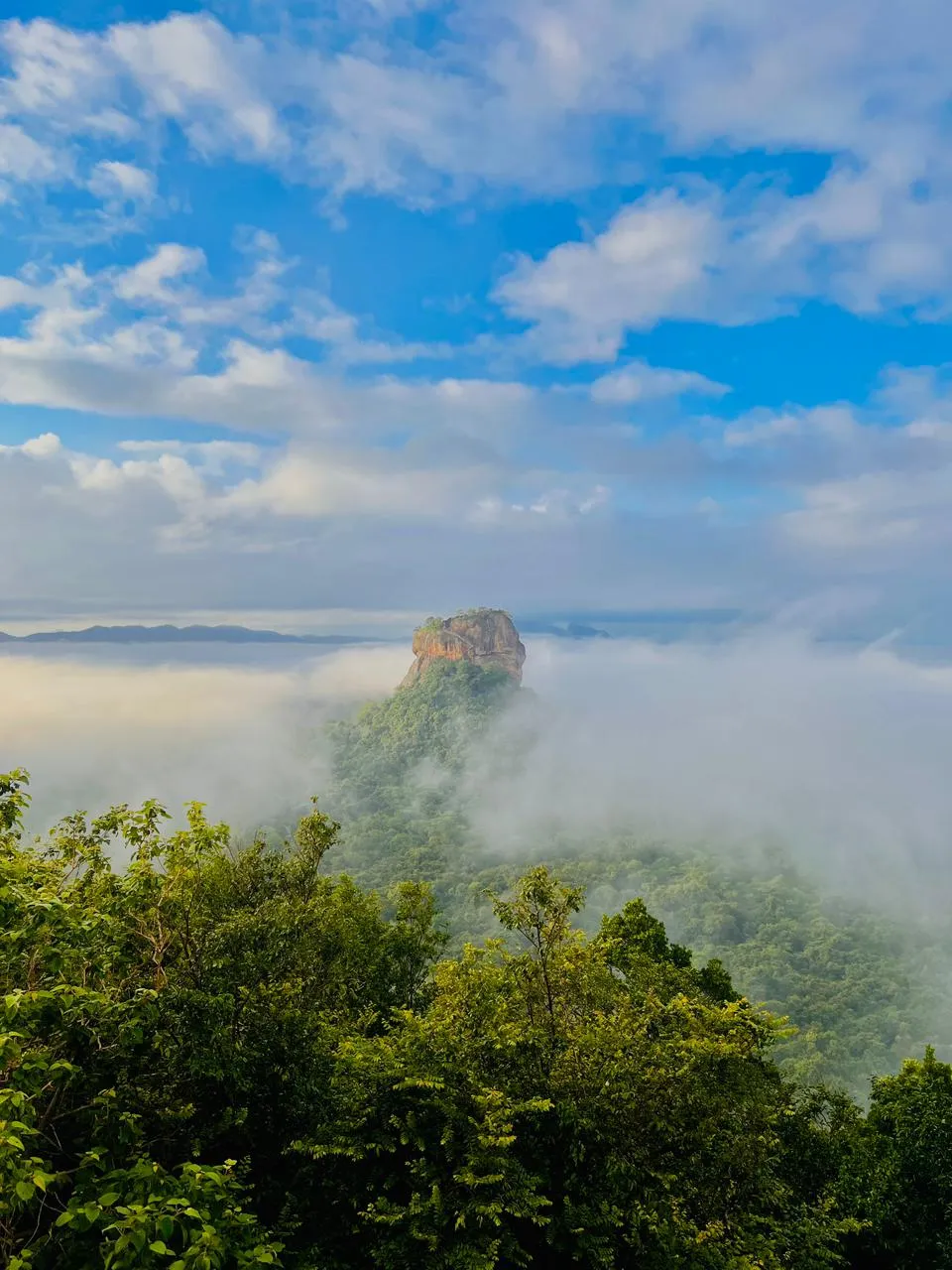 Sigiriya rock rising out of morning mist above the jungle, seen from Pidurangala